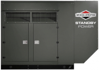 Газовый генератор Briggs & Stratton G800 